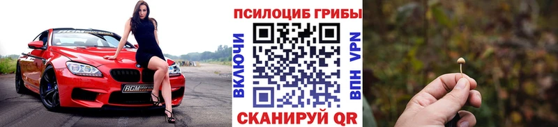 Галлюциногенные грибы мухоморы  где купить наркоту  Красково 